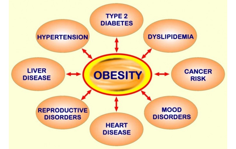 Is Obesity Really Genetic: To a Certain Extent